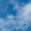 本日の我が家上空　JAL