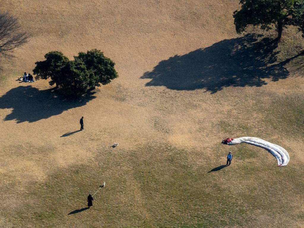 上から目線２　犬の散歩とパラグライダーの練習