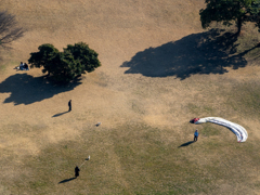 上から目線２　犬の散歩とパラグライダーの練習