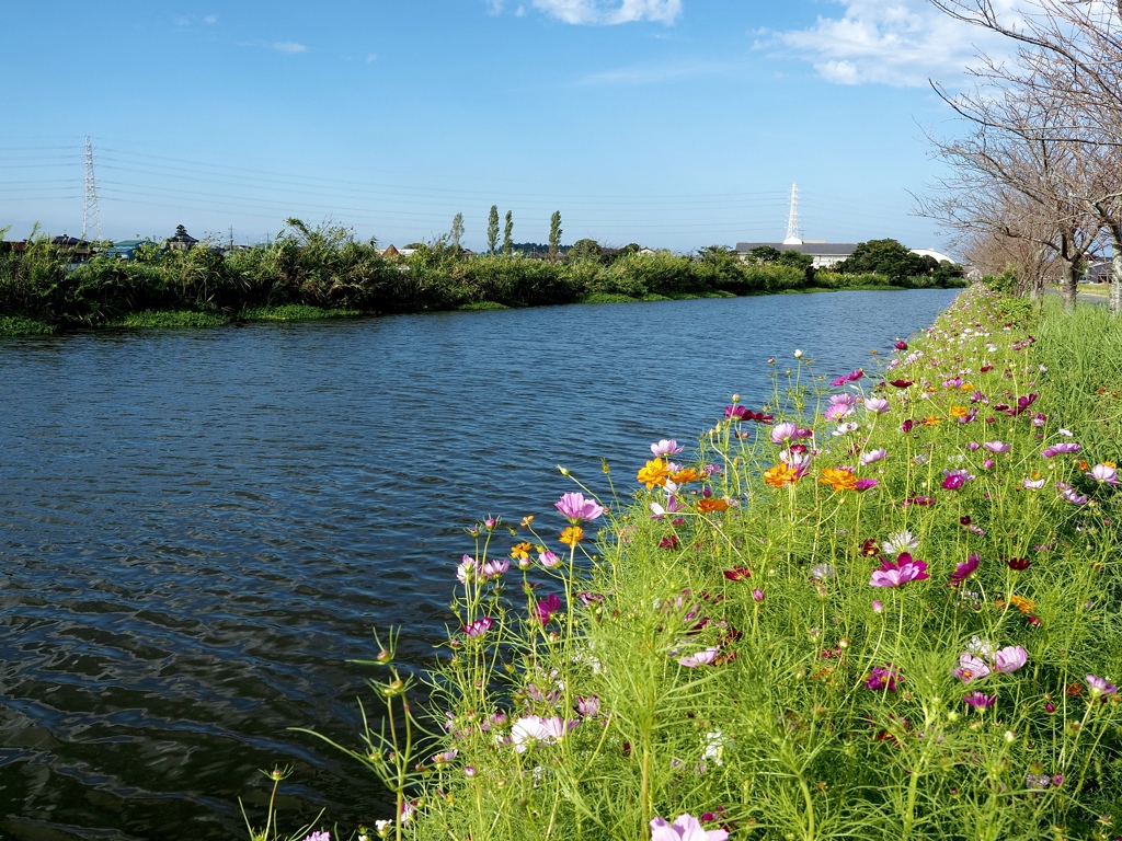 ゆっくり川面