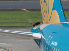 APU空気取入れ口