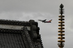 アシアナ航空　A380　成田山の向こう