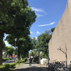 台風一過