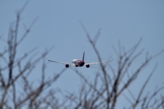 その3:VietJetAir   AirBus A330-343