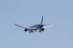 その2:さくらの山公園　ベトナム航空　B787-10 Dreamliner