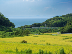 内房線各停　稲田と東京湾