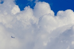 本日の我が家上空　NH572便旋回中
