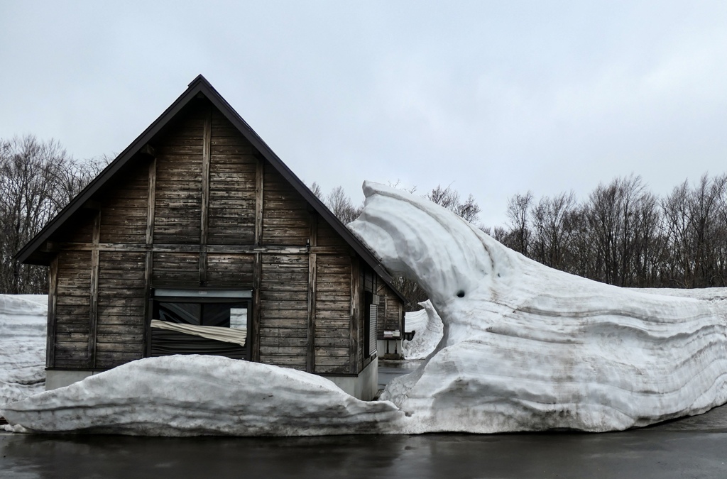雪のクジラ