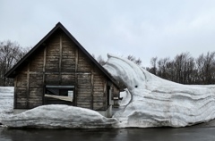 雪のクジラ
