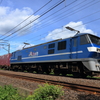 本日の桃太郎