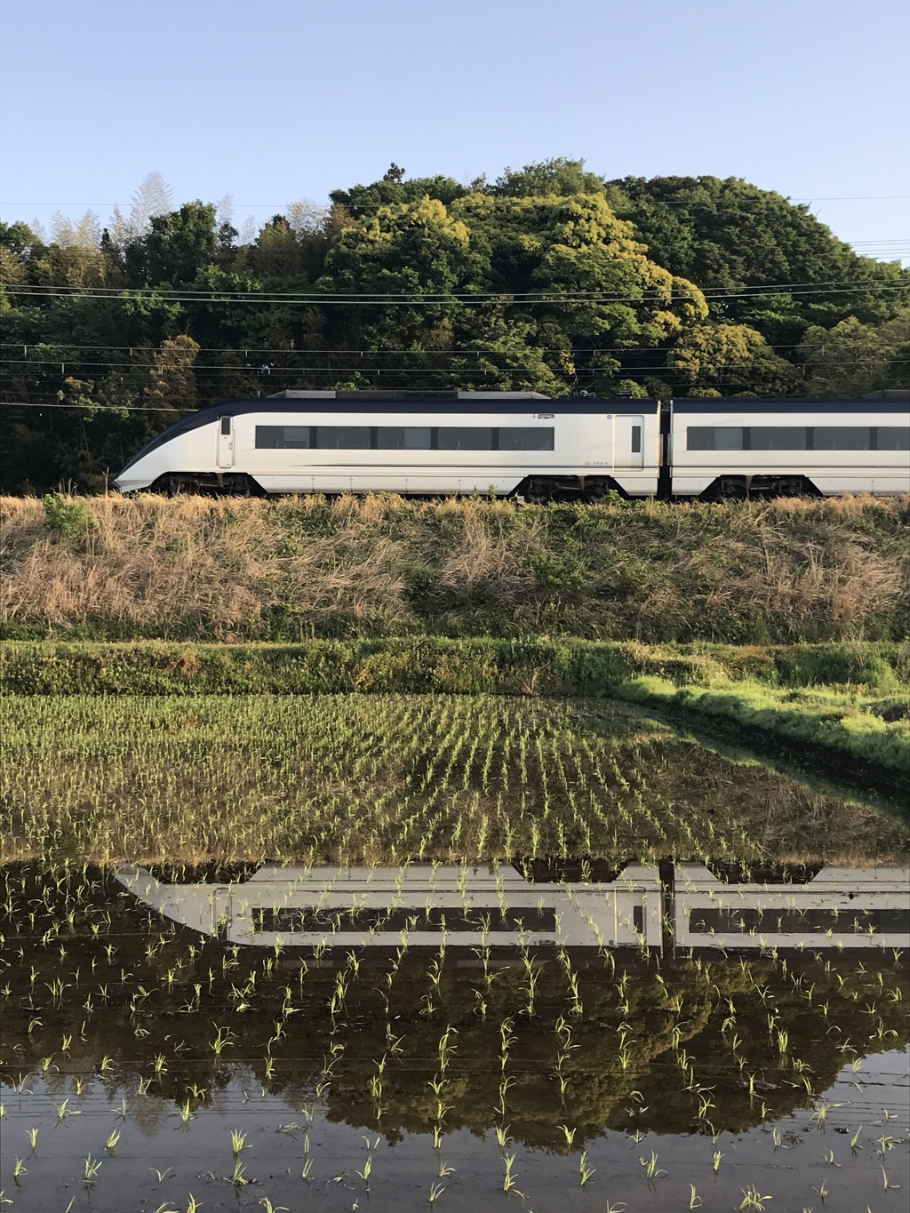 田んぼとモーニングライナー