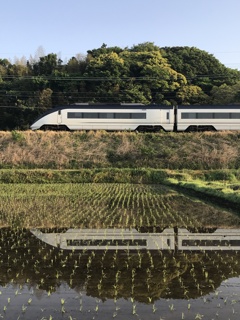 田んぼとモーニングライナー