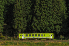Greeeen