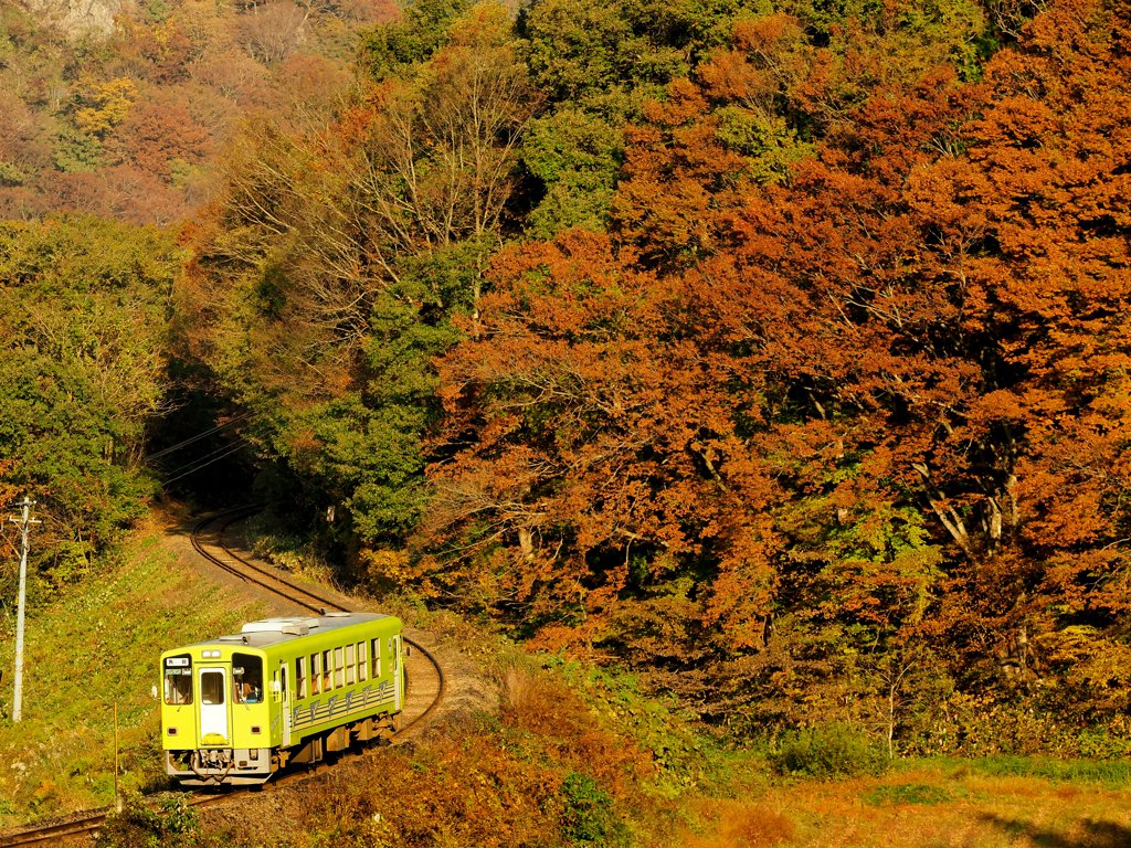 晩秋　今年は熊が怖かったので