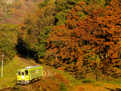 晩秋　今年は熊が怖かったので
