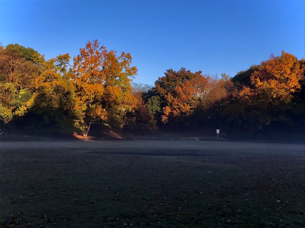 公園のおはよう