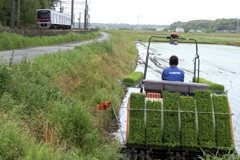 田植えと京成電車