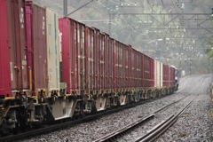 本日の桃太郎　コンテナ