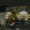 夜のキリン