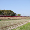 京急が行く