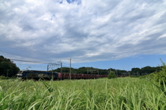 本日の桃太郎　夏