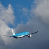 昨日の三里塚さくらの丘　B777