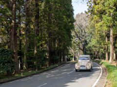 2CV