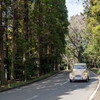 2CV