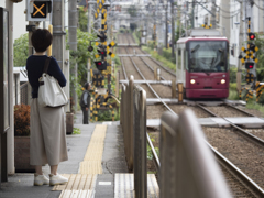 東京さん歩　私はこっちで待つの