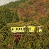 ホントは赤い葉っぱと、緑の杉と、黄色い車両で、もっと綺麗になるはずだったんだ