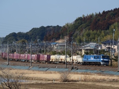 ひさびさの桃太郎