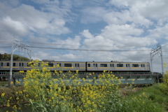 黄色い電車と菜の花