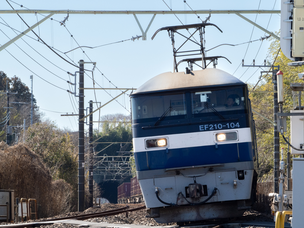 昨日の桃太郎　菱形パンタ