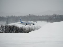 よし、帰れるぞ　( ◠‿◠ )