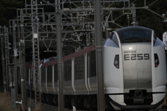 成田エクスプレス　E259