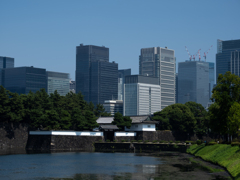 東京さん歩　皇居 桜田門・官庁街を望む