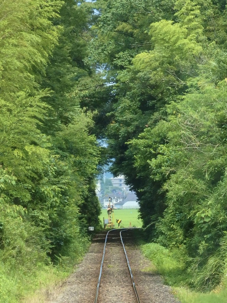 いすみ鉄道　1