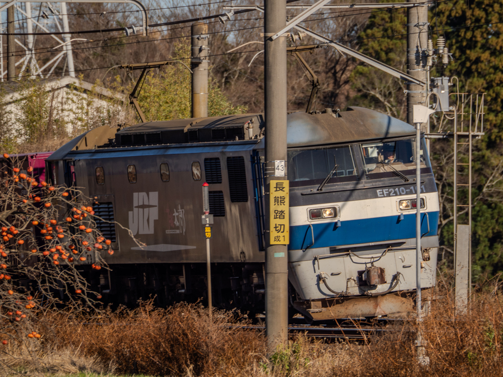 あれま、もう来たの？　桃太郎