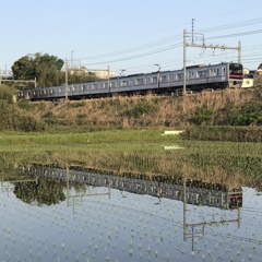 田んぼと京成電車