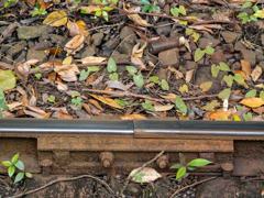 ガタン・ゴトン