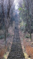 二上山ふるさと公園展望台への階段