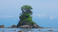 雨晴海岸