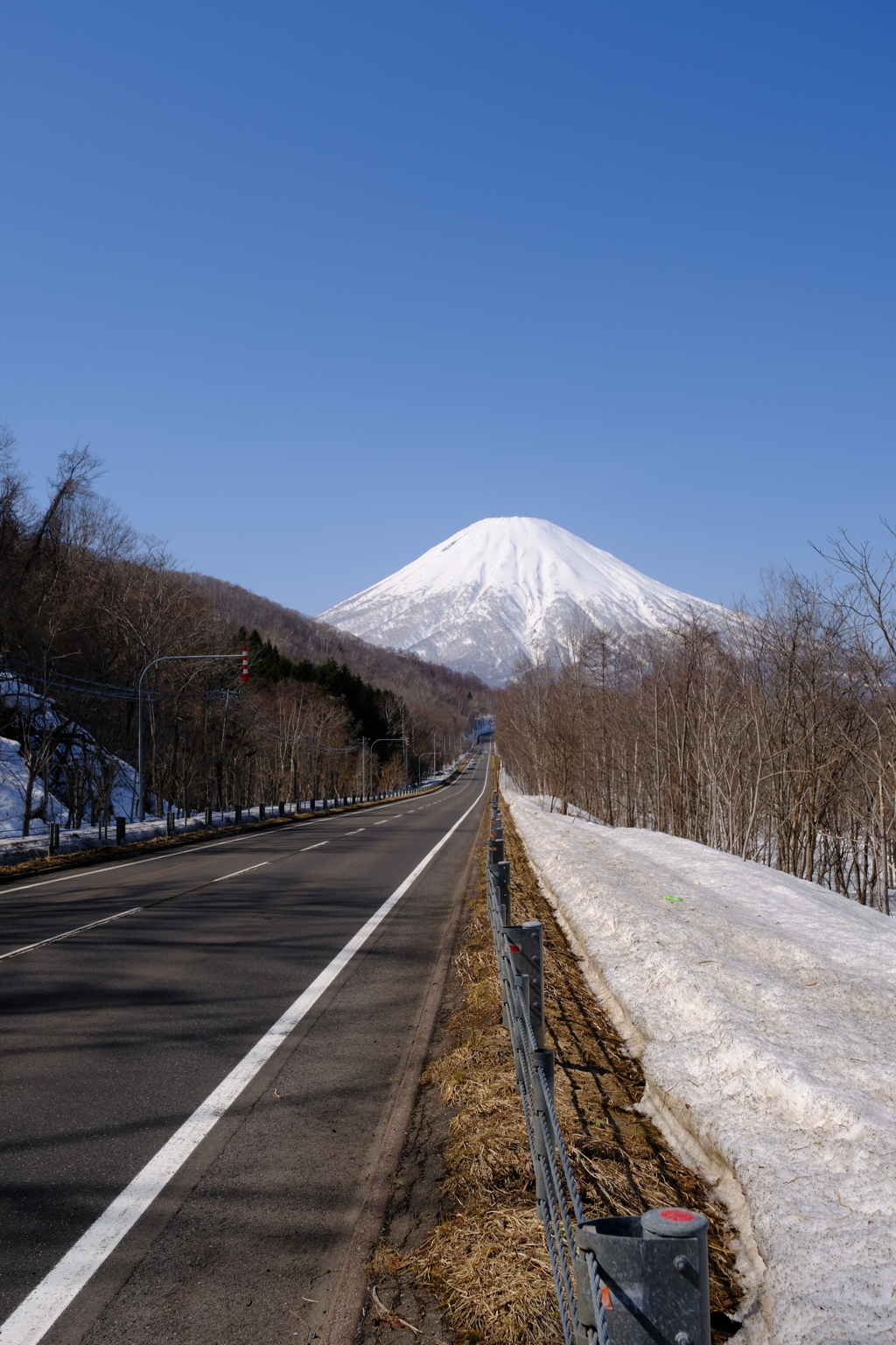 春近づく羊蹄山　その３