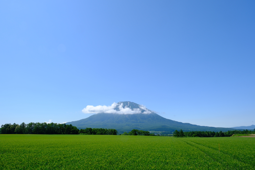 初夏の羊蹄山　その１