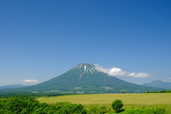 初夏の羊蹄山　その５