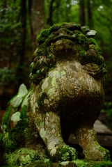 祟導神社の狛犬