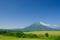 初夏の羊蹄山　その４