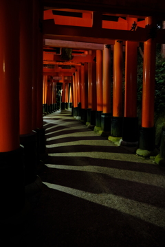 夜の千本鳥居