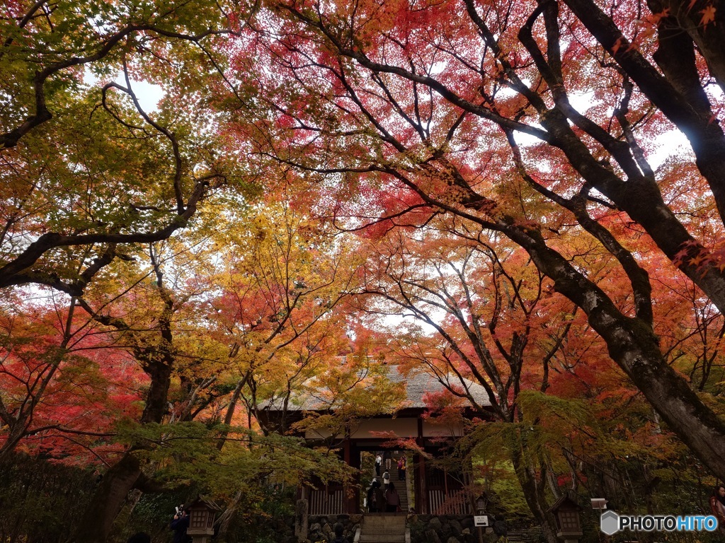 秋色に包まれる