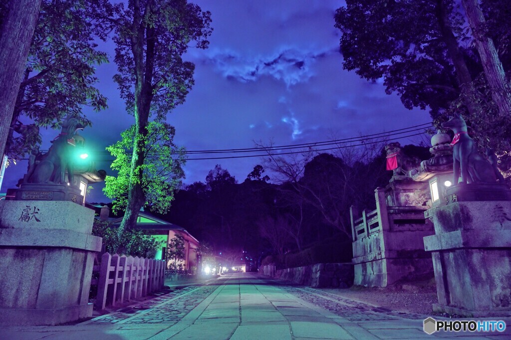 稲荷夜景 #9